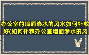 办公室的墙面渗水的风水如何补救好(如何补救办公室墙面渗水的风水问题？)