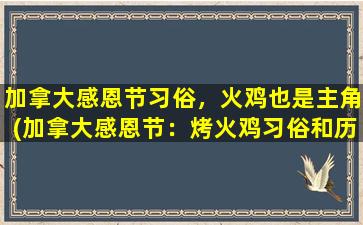 加拿大感恩节习俗，火鸡也是主角(加拿大感恩节：烤火鸡习俗和历史)