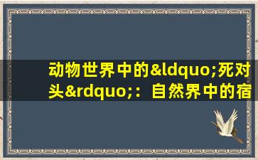 动物世界中的“死对头”：自然界中的宿命对决