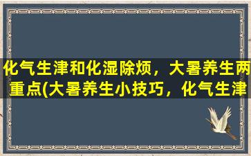 化气生津和化湿除烦，大暑养生两重点(大暑养生小技巧，化气生津化湿除烦两重点！)