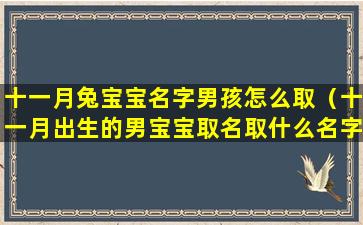 十一月兔宝宝名字男孩怎么取（十一月出生的男宝宝取名取什么名字）