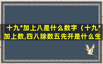 十九*加上八是什么数字（十九*加上数,四八除数五先开是什么生肖）