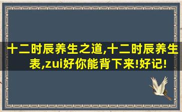 十二时辰养生之道,十二时辰养生表,zui好你能背下来!好记!