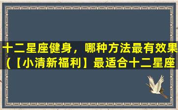 十二星座健身，哪种方法最有效果(【小清新福利】最适合十二星座的健身方式，让你高效塑形！)