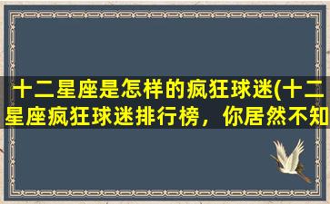 十二星座是怎样的疯狂球迷(十二星座疯狂球迷排行榜，你居然不知道第一名是TA！)