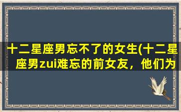 十二星座男忘不了的女生(十二星座男zui难忘的前女友，他们为何无法忘怀？)