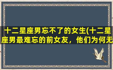 十二星座男忘不了的女生(十二星座男最难忘的前女友，他们为何无法忘怀？)