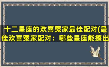 十二星座的欢喜冤家最佳配对(最佳欢喜冤家配对：哪些星座能擦出火花？)