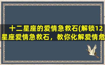 十二星座的爱情急救石(解锁12星座爱情急救石，教你化解爱情危机！)