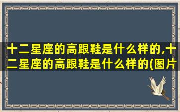 十二星座的高跟鞋是什么样的,十二星座的高跟鞋是什么样的(图片)