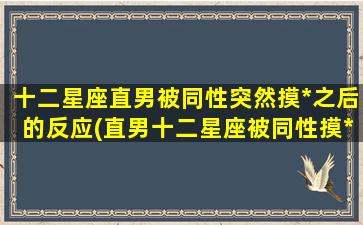 十二星座直男被同性突然摸*之后的反应(直男十二星座被同性摸*的反应大起底，惊爆*！)