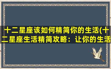 十二星座该如何精简你的生活(十二星座生活精简攻略：让你的生活更轻松)