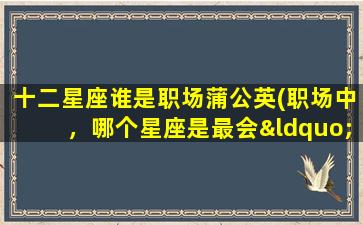 十二星座谁是职场蒲公英(职场中，哪个星座是最会“翻身”的蒲公英？)