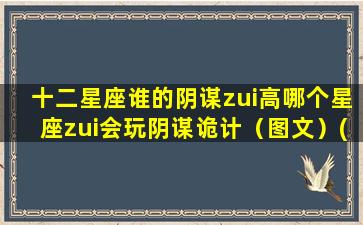 十二星座谁的阴谋zui高哪个星座zui会玩阴谋诡计（图文）(哪个星座阴谋家）