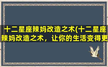 十二星座辣妈改造之术(十二星座辣妈改造之术，让你的生活变得更美好！)