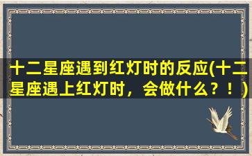 十二星座遇到红灯时的反应(十二星座遇上红灯时，会做什么？！)