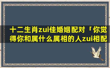 十二生肖zui佳婚姻配对「你觉得你和属什么属相的人zui相配」