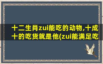 十二生肖zui能吃的动物,十成十的吃货就是他(zui能满足吃货胃的动物就是TA！)