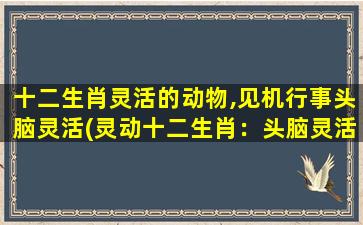 十二生肖灵活的动物,见机行事头脑灵活(灵动十二生肖：头脑灵活，见机行事的动物们)