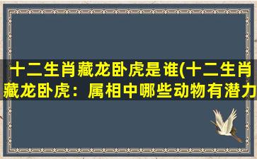 十二生肖藏龙卧虎是谁(十二生肖藏龙卧虎：属相中哪些动物有潜力呢？)