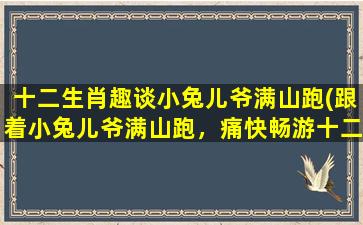 十二生肖趣谈小兔儿爷满山跑(跟着小兔儿爷满山跑，痛快畅游十二生肖的世界)