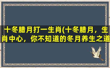 十冬腊月打一生肖(十冬腊月，生肖中心，你不知道的冬月养生之道)