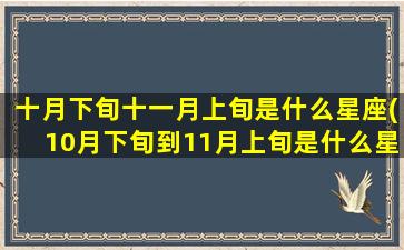 十月下旬十一月上旬是什么星座(10月下旬到11月上旬是什么星座)