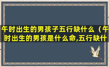 午时出生的男孩子五行缺什么（午时出生的男孩是什么命,五行缺什么）