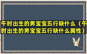 午时出生的男宝宝五行缺什么（午时出生的男宝宝五行缺什么属性）