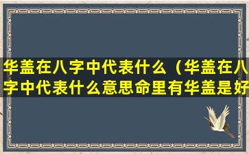 华盖在八字中代表什么（华盖在八字中代表什么意思命里有华盖是好事吗）