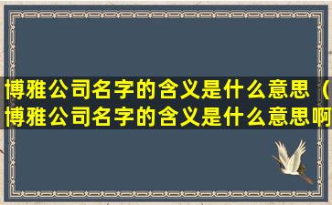 博雅公司名字的含义是什么意思（博雅公司名字的含义是什么意思啊）