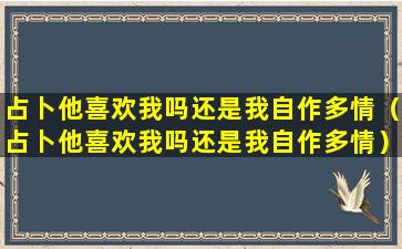 占卜他喜欢我吗还是我自作多情（占卜他喜欢我吗还是我自作多情）