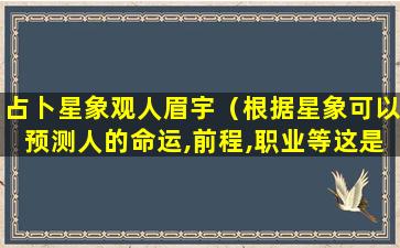 占卜星象观人眉宇（根据星象可以预测人的命运,前程,职业等这是什么）