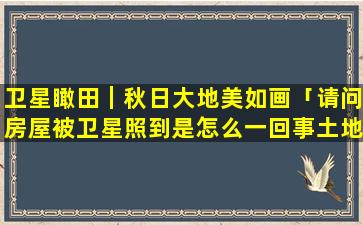 卫星瞰田｜秋日大地美如画「请问房屋被卫星照到是怎么一回事土地局的人来了好几次，说要罚款」