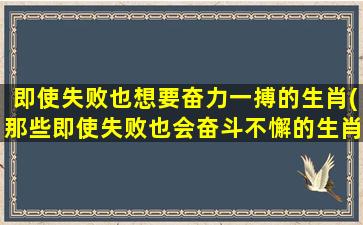 即使失败也想要奋力一搏的生肖(那些即使失败也会奋斗不懈的生肖)