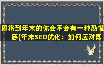 即将到年末的你会不会有一种恐慌感(年末SEO优化：如何应对即将到来的关键词竞争激烈周期的恐慌感)