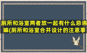 厕所和浴室两者放一起有什么忌讳嘛(厕所和浴室合并设计的注意事项及解决方案)