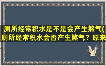 厕所经常积水是不是会产生煞气(厕所经常积水会否产生煞气？原来大家都错了！)