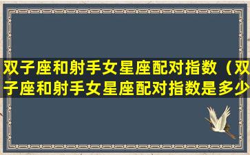 双子座和射手女星座配对指数（双子座和射手女星座配对指数是多少）