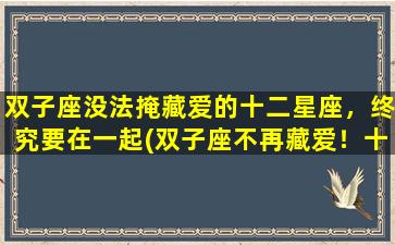 双子座没法掩藏爱的十二星座，终究要在一起(双子座不再藏爱！十二星座必聚为中心)