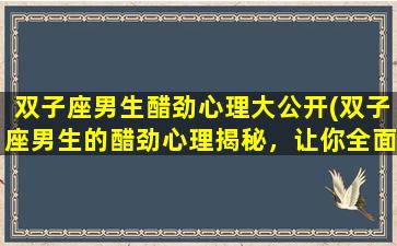 双子座男生醋劲心理大公开(双子座男生的醋劲心理揭秘，让你全面了解TA的心思！)