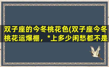 双子座的今冬桃花色(双子座今冬桃花运爆棚，*上多少闲愁都不是事！)