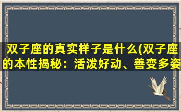 双子座的真实样子是什么(双子座的本性揭秘：活泼好动、善变多姿的星座特征)