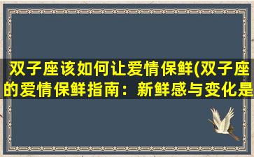 双子座该如何让爱情保鲜(双子座的爱情保鲜指南：新鲜感与变化是关键)