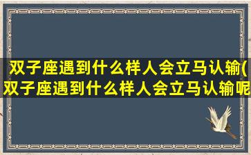 双子座遇到什么样人会立马认输(双子座遇到什么样人会立马认输呢）