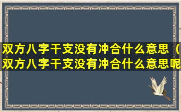 双方八字干支没有冲合什么意思（双方八字干支没有冲合什么意思呢）