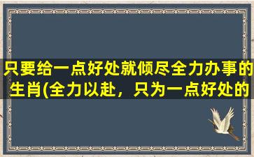 只要给一点好处就倾尽全力办事的生肖(全力以赴，只为一点好处的生肖大揭秘！)