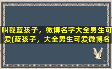 叫我蓝孩子，微博名字大全男生可爱(蓝孩子，大全男生可爱微博名！收录超多热门昵称，百科全书式解读每个名字的含义和来源！)