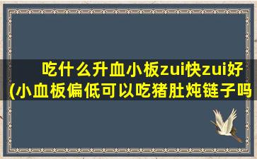 吃什么升血小板zui快zui好(小血板偏低可以吃猪肚炖链子吗)