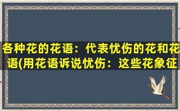 各种花的花语：代表忧伤的花和花语(用花语诉说忧伤：这些花象征着悲伤、哀思与悔恨)